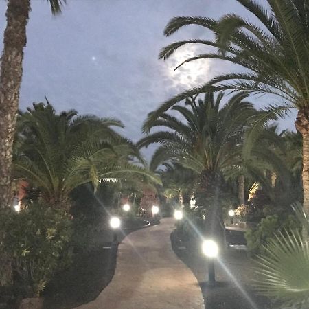My Pretty Home - Lovely And Spacious Surrounded By Tropical Gardens - Private Covered And Uncovered Terrace - Pool - Parking - Free Fibre Optic Internet Corralejo Zewnętrze zdjęcie