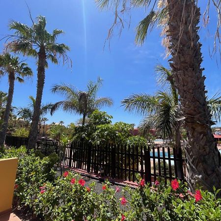 My Pretty Home - Lovely And Spacious Surrounded By Tropical Gardens - Private Covered And Uncovered Terrace - Pool - Parking - Free Fibre Optic Internet Corralejo Zewnętrze zdjęcie