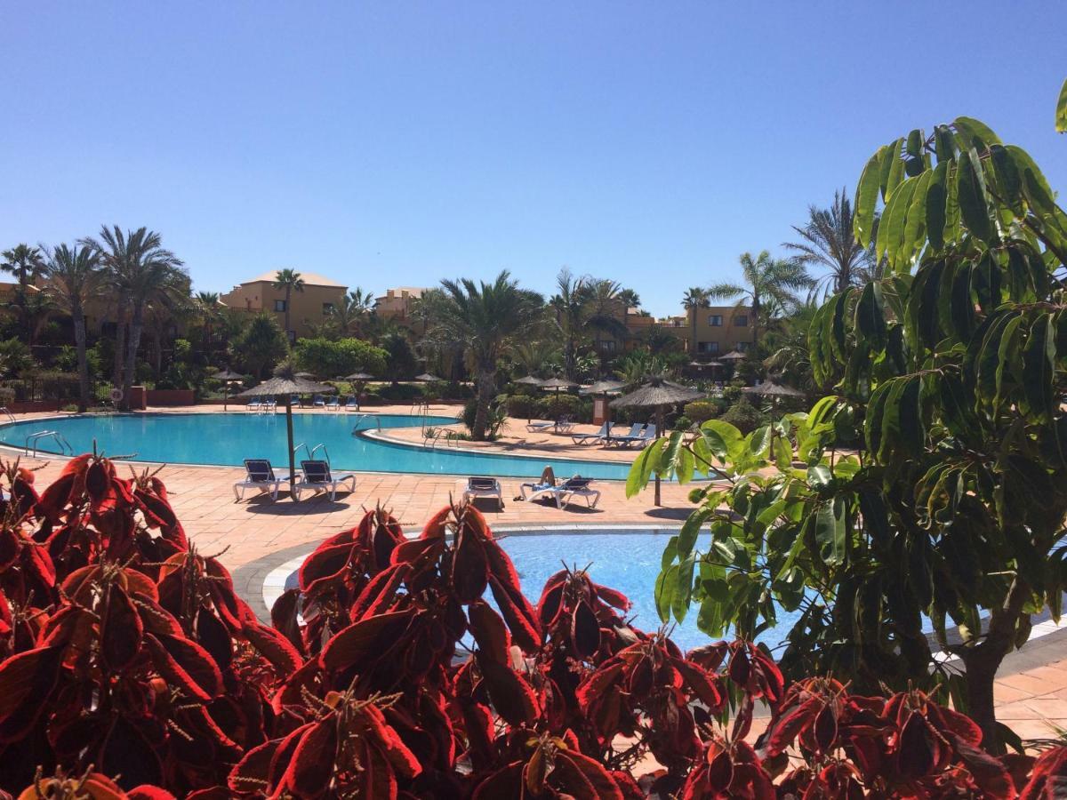 My Pretty Home - Lovely And Spacious Surrounded By Tropical Gardens - Private Covered And Uncovered Terrace - Pool - Parking - Free Fibre Optic Internet Corralejo Zewnętrze zdjęcie