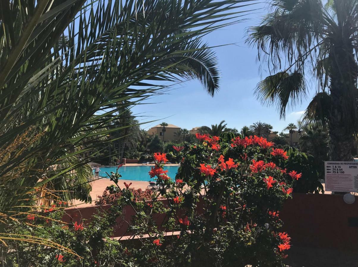 My Pretty Home - Lovely And Spacious Surrounded By Tropical Gardens - Private Covered And Uncovered Terrace - Pool - Parking - Free Fibre Optic Internet Corralejo Zewnętrze zdjęcie